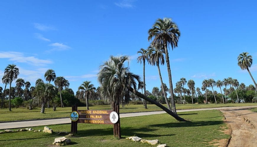 El Palmar