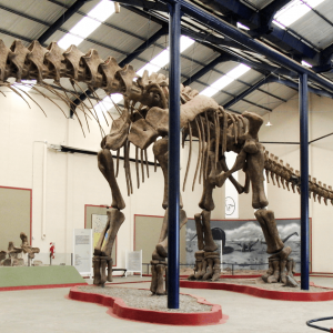 1024px-Argentinosaurus_skeleton,_PLoS_ONE
