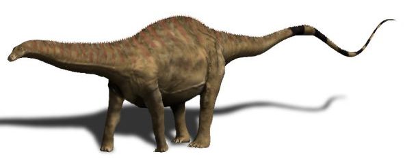 Rebbachisaurus BW