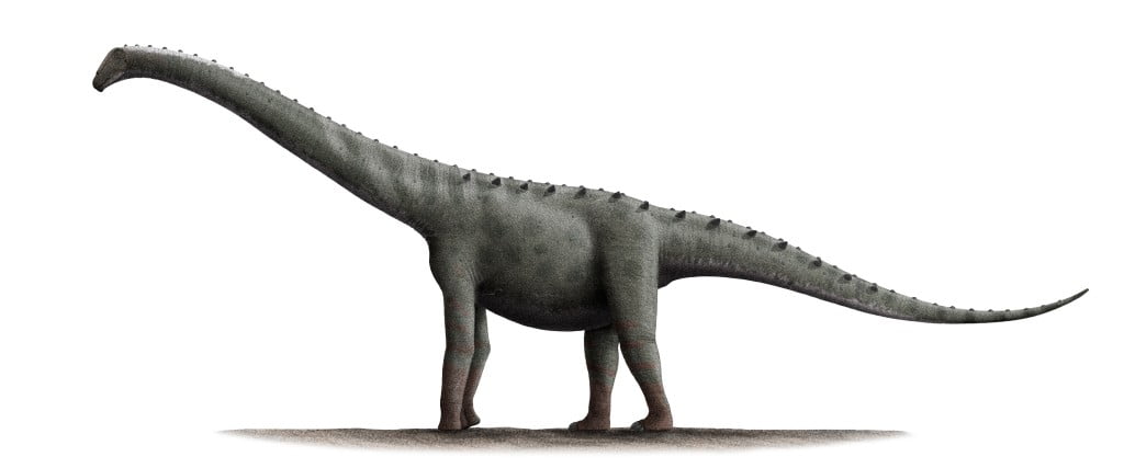Rinconsaurus test 2
