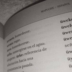 diccionario Mapuche
