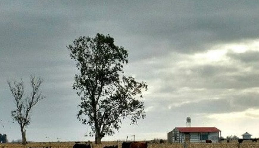 llanura pampeana