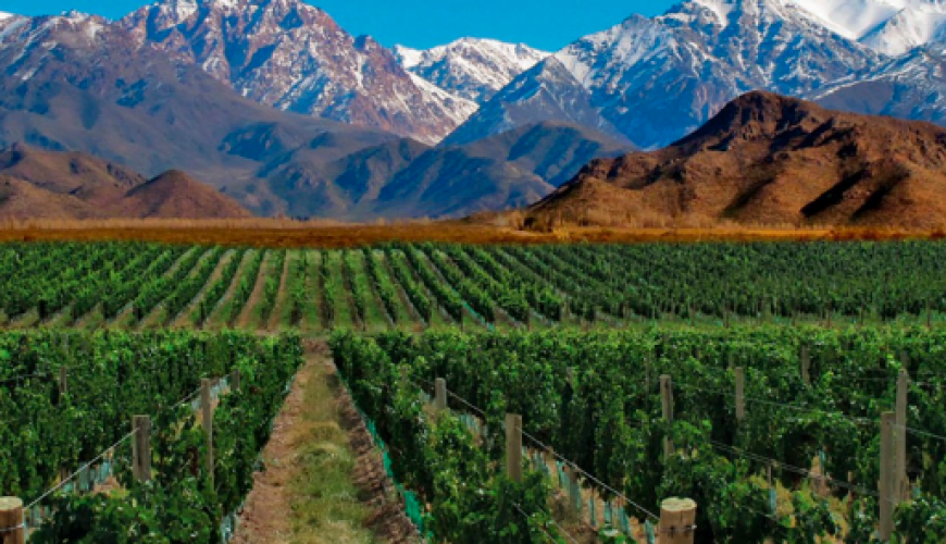 Mendoza